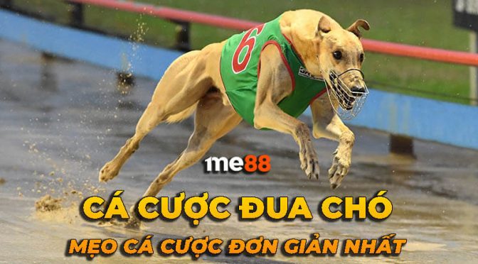 Cách rút tiền từ tài khoản thành viên Qqvn của bạn - Qqvn