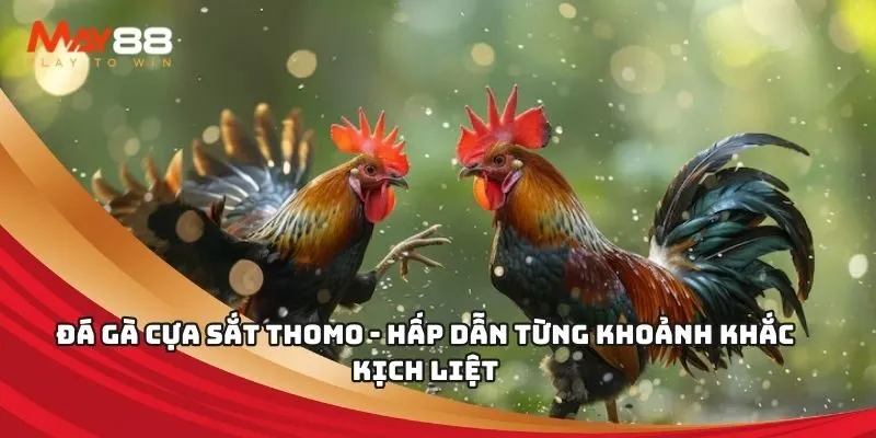 Link dẫn đến trang web của 66Vn Games là gì? - 66Vn