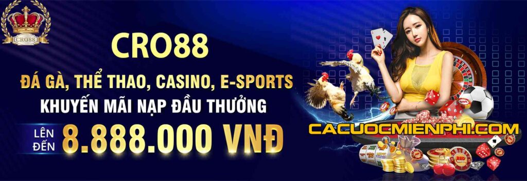 Điều khoản và điều kiện của chương trình khuyến mãi chào mừng nhà tài trợ Pk88 - Pk88
