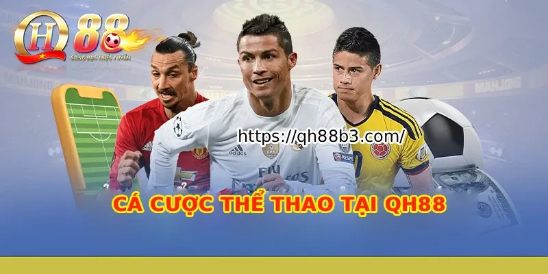 Vì sao giao dịch rút tiền của tôi tại Ngân hàng Bet999 lại thất bại? - Bet999
