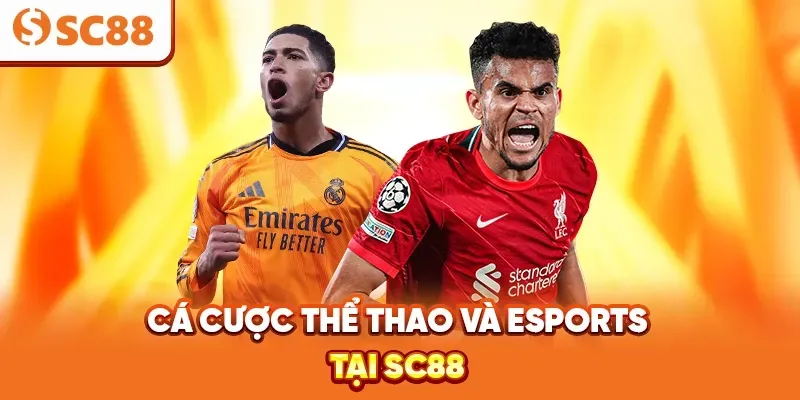 Bạn có thể dễ dàng và nhanh chóng nạp tiền vào tài khoản Ax88 chỉ với một bước đơn giản - Ax88