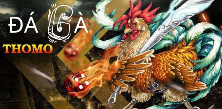 Sin88 Club – Một cổng game uy tín và chất lượng cao - Sin88