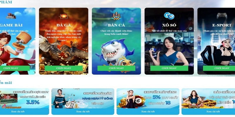 Ricwin hiện đang thực hiện những hoạt động quảng bá nào? - Ricwin
