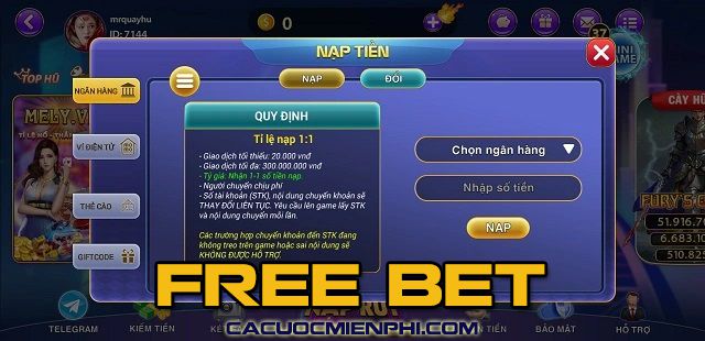 Cách đặt cược vào các trận đấu bóng đá cấp độ Bwin - Bwin