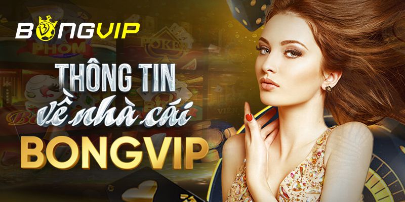 Tổng quan về sản phẩm cá cược VIP Tobet - Tobet