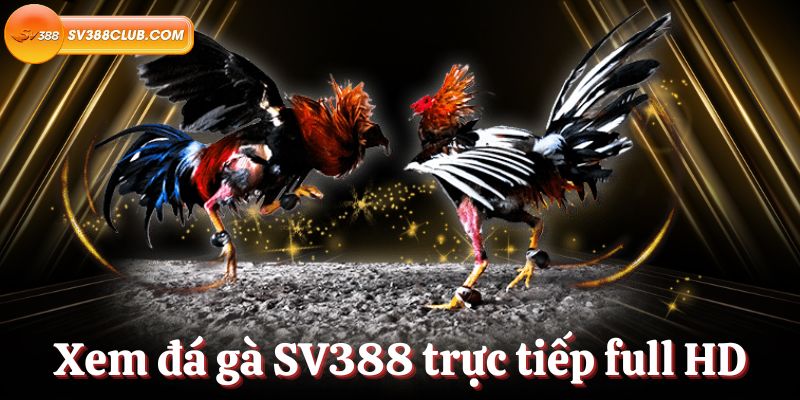 Đánh giá công ty King Games được xếp hạng Bigboss: Nêu bật những điểm mạnh chính của công ty - Bigboss