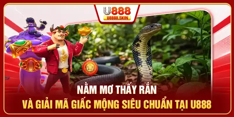 Trang web game uy tín hàng đầu châu Á (hạng Nohu) - Nohu
