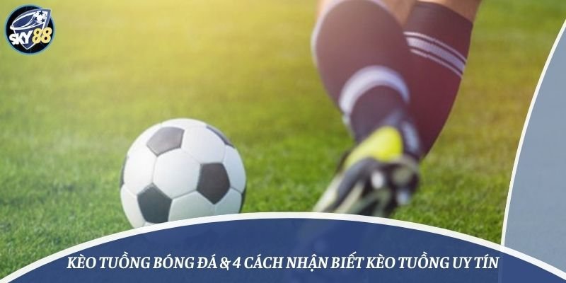 Tôi có thể yêu cầu rút khỏi N666 bằng cách nào? - N666