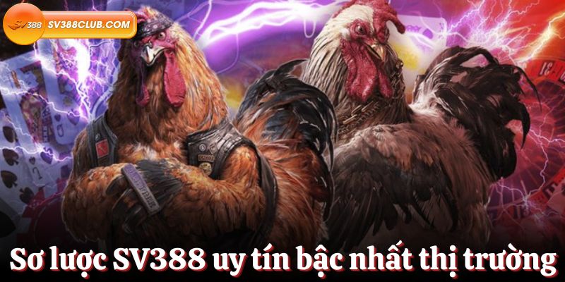 Đánh giá tính chuyên nghiệp của các trang web chơi game được xếp hạng Fm88 - Fm88