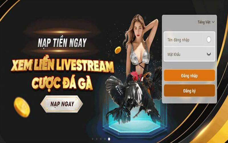 Một công ty trực tuyến uy tín được xếp hạng 9Dbet cung cấp các chương trình khuyến mãi vô cùng hấp dẫn - 9Dbet