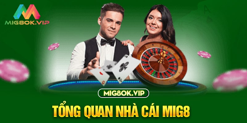 Trò chơi giải trí cấp độ Xin88 - Xin88