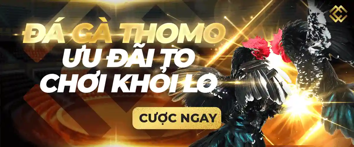 Trang web nền tảng trực tuyến hàng đầu và toàn diện Sv368 - Sv368