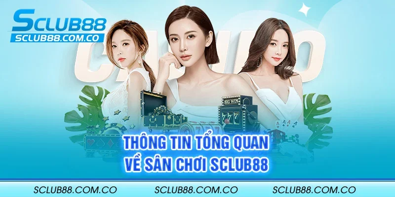 Các nhiệm vụ chính của các đại lý Ok33 - Ok33