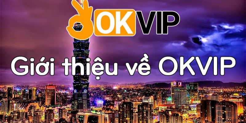 Thông tin chung và hoạt động của Vip88 là gì? - Vip88