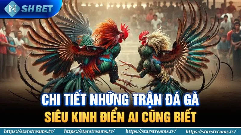 Nền tảng Zbet88 hàng đầu - Zbet88