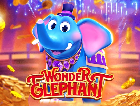 Wonder Elephant